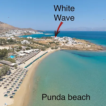 White Wave * Logaras