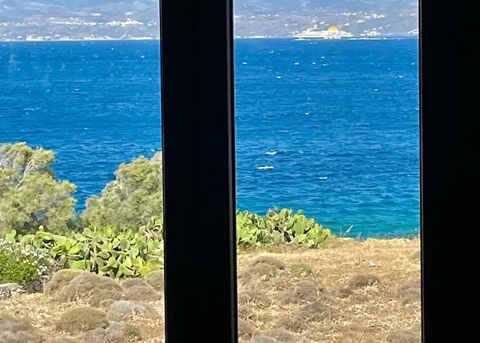 White Wave Daire Logaras